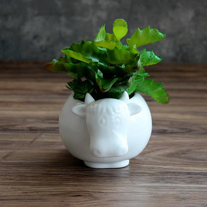 Ceramic Cow Planter