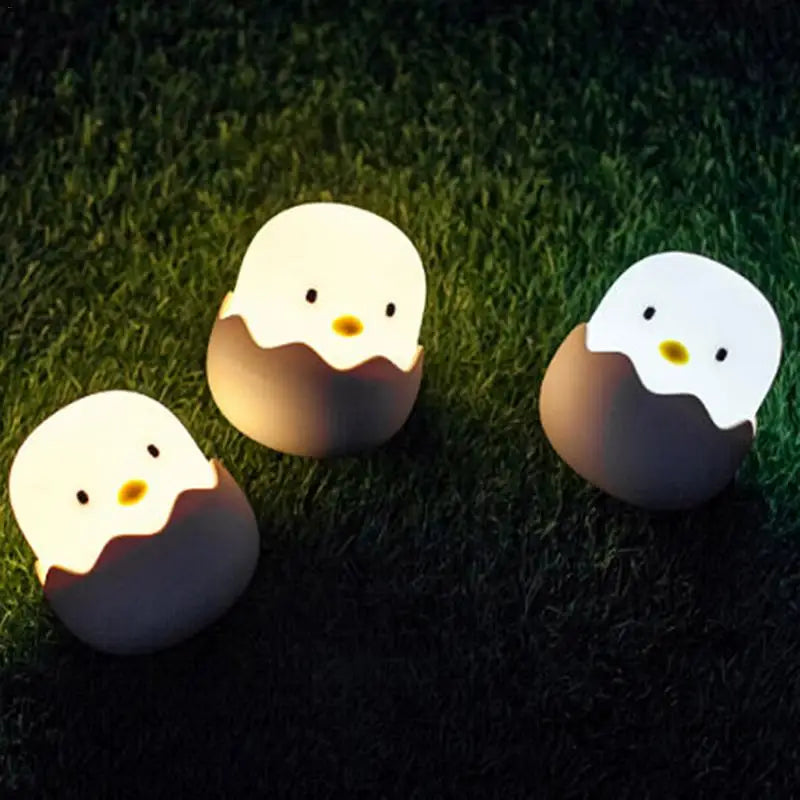 Chicken Egg LED Light