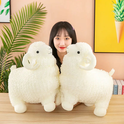 Lamb Plushy